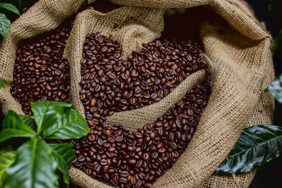 tipos de cafe en grano